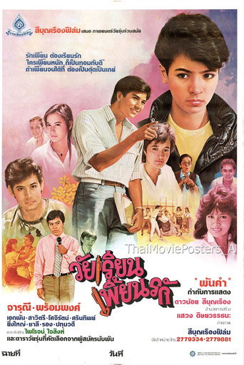 Póster de วัยเรียนเพี้ยนรัก