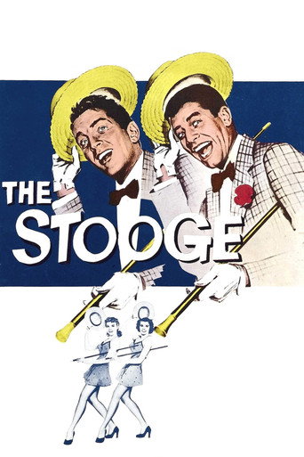 Póster de The Stooge