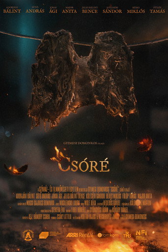 Póster de Csóré