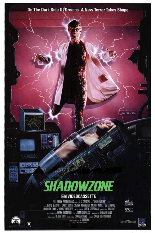 Póster de Shadowzone