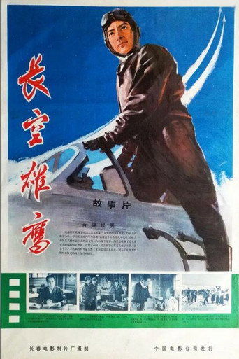 Póster de 长空雄鹰