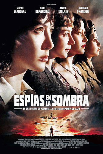 Póster de Les Femmes de l'ombre