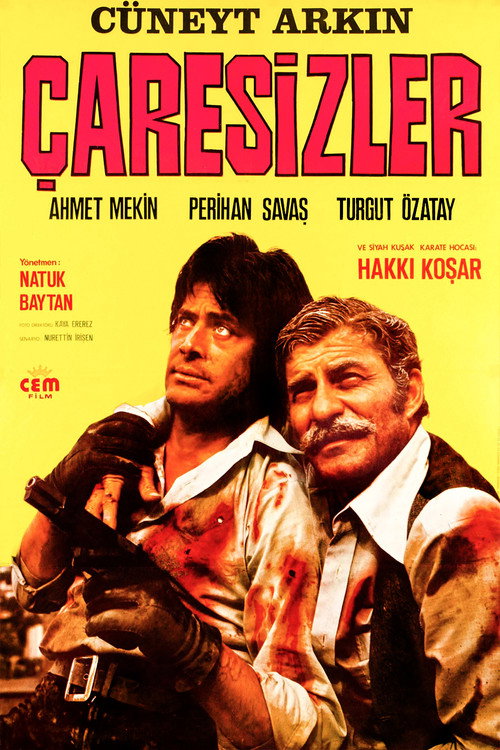 Póster de Çaresizler