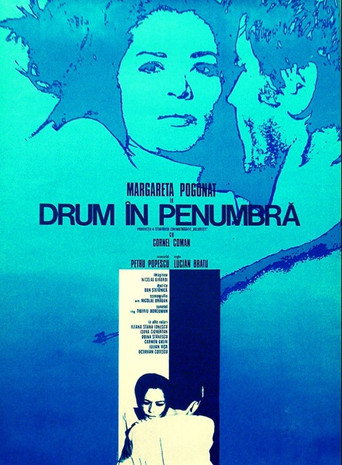 Póster de Drum în penumbră