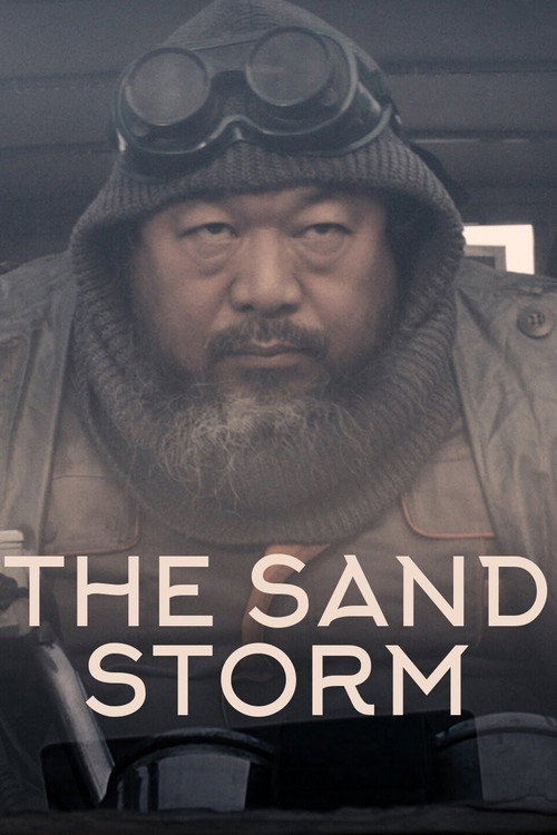 Póster de 沙尘暴