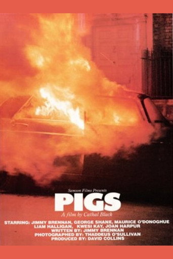 Póster de Pigs