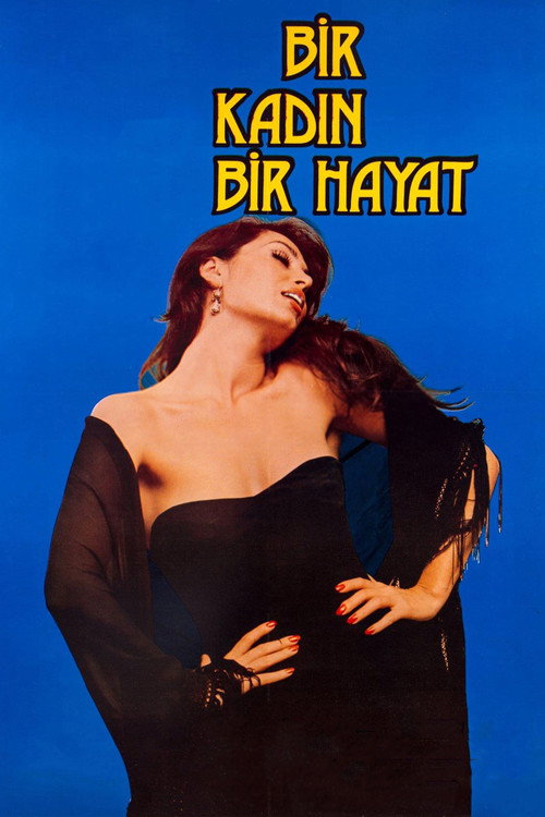 Póster de Bir Kadın Bir Hayat