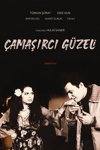Póster de Çamaşırcı Güzeli