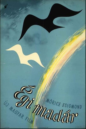 Póster de Égi madár