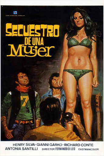 Póster de Il boss
