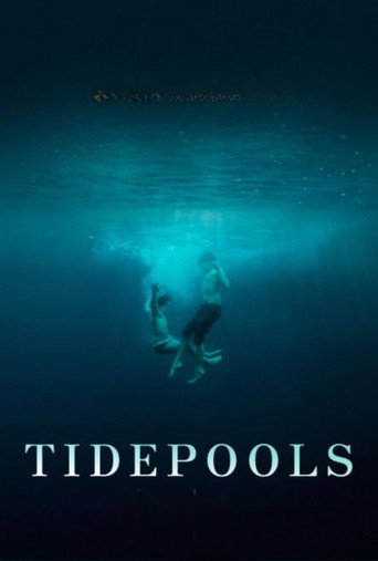 Póster de Tidepools