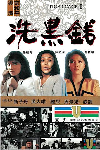 Póster de 洗黑錢