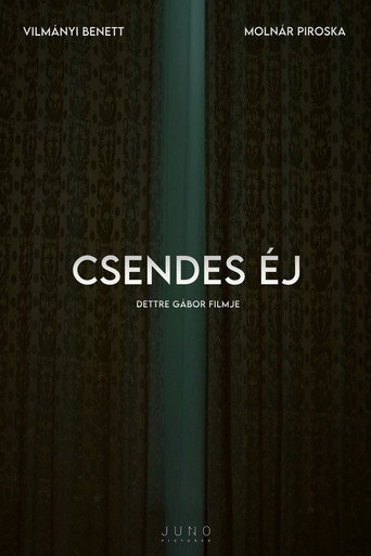 Póster de Csendes éj