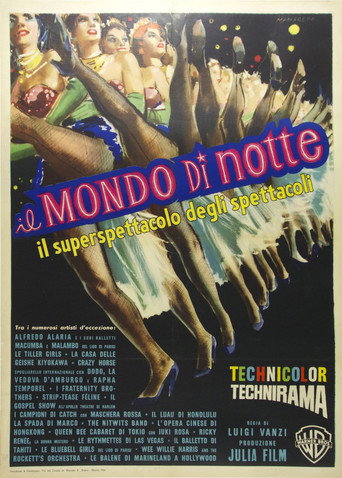 Póster de Il mondo di notte
