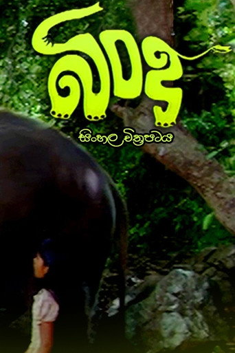 Póster de Bindu