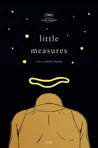 Póster de Little Measures