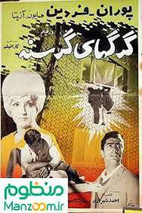 Póster de گرگهای گرسنه