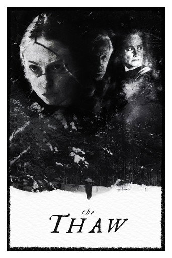Póster de The Thaw
