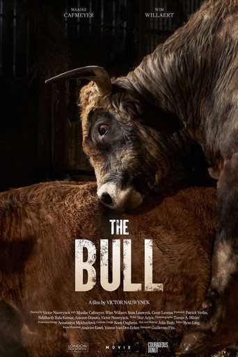 Póster de De Stier