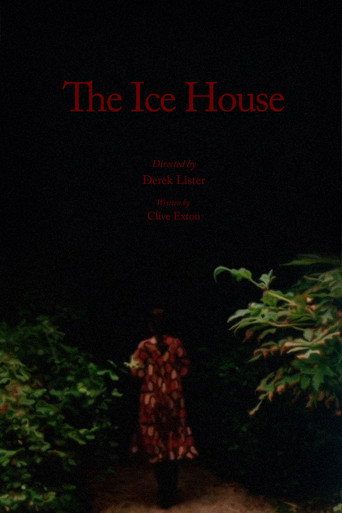 Póster de The Ice House