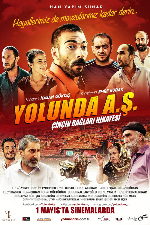 Póster de Yolunda A.Ş. Çinçin Bağları Hikayesi