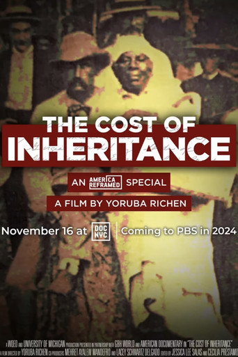Póster de The Cost of Inheritance