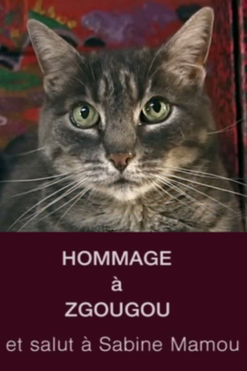Póster de Hommage à Zgougou (et salut à Sabine Mamou)