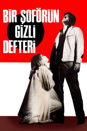 Póster de Bir Şoförün Gizli Defteri