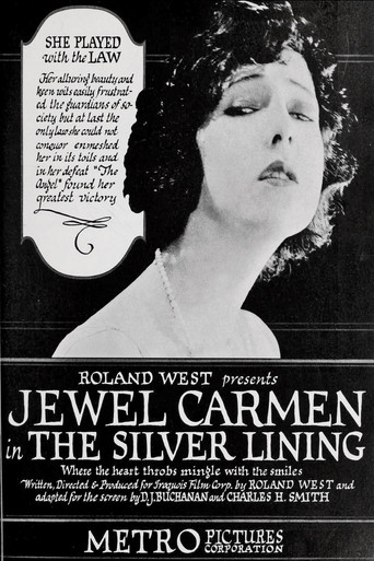 Póster de The Silver Lining