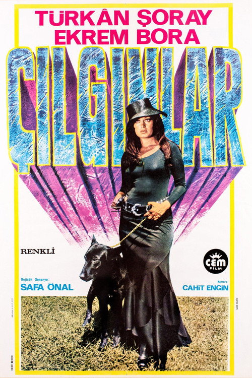 Póster de Çılgınlar