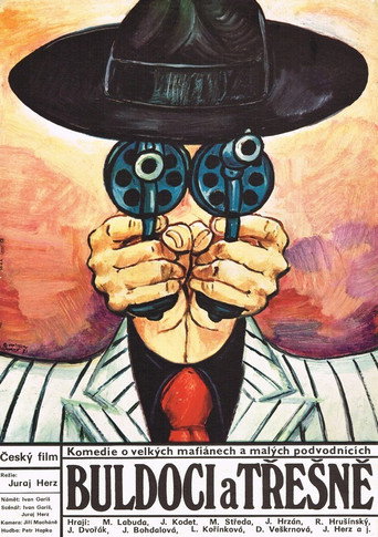 Póster de Buldoci a třešně