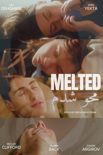 Póster de Melted