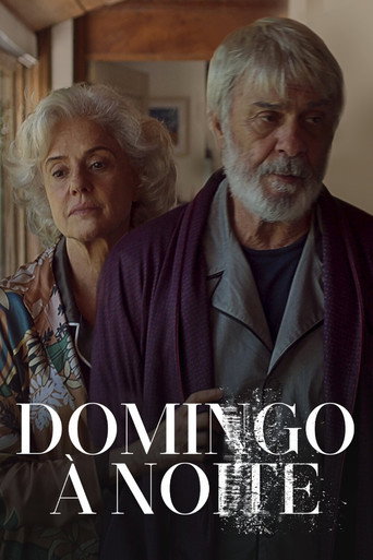 Póster de Domingo à Noite