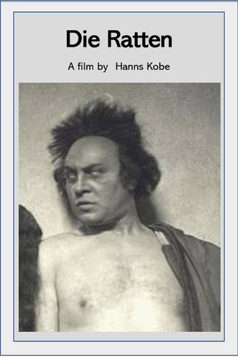 Póster de Die Ratten
