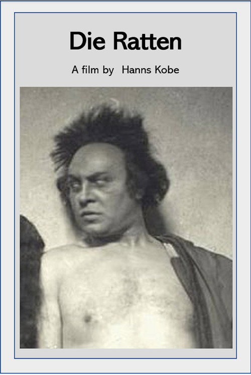 Póster de Die Ratten
