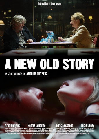 Póster de A new old story
