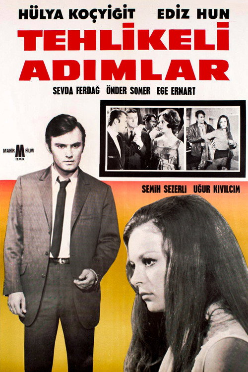 Póster de Tehlikeli Adımlar