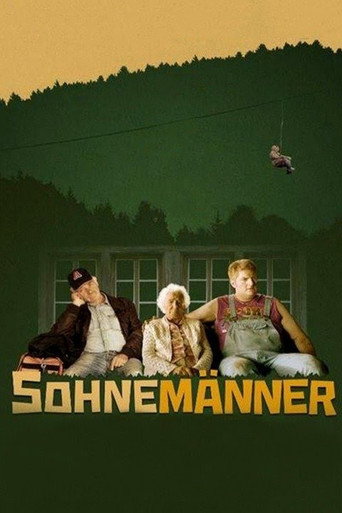 Póster de Sohnemänner