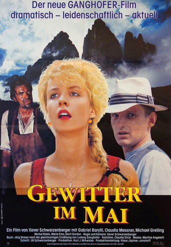 Póster de Gewitter im Mai