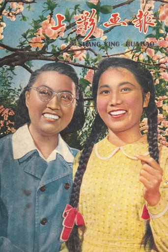 Póster de 平凡的事业
