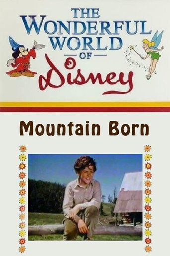 Póster de Mountain Born