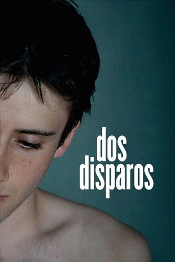 Póster de Dos disparos