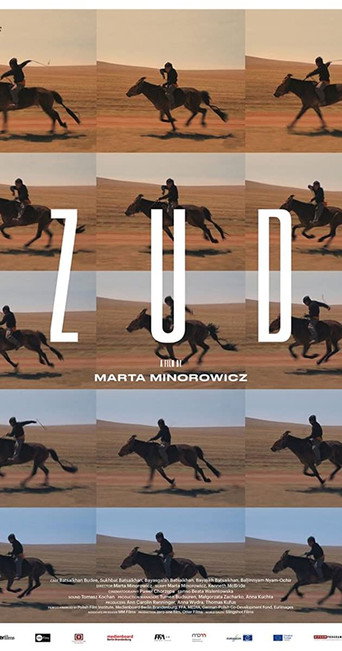 Póster de Zud