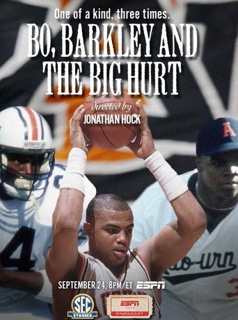 Póster de Bo, Barkley and the Big Hurt