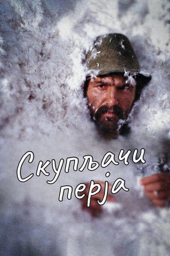 Póster de Skupljaci perja