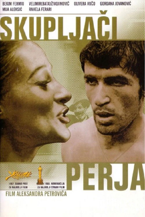 Póster de Skupljaci perja