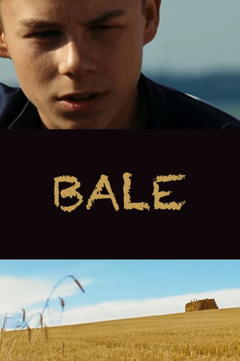 Póster de Bale