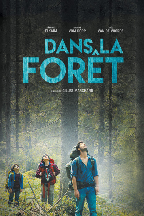 Póster de Dans la forêt