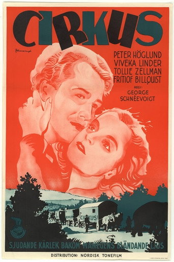 Póster de Cirkus