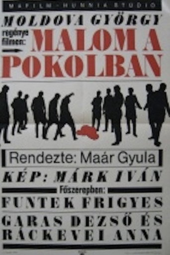 Póster de Malom a pokolban
